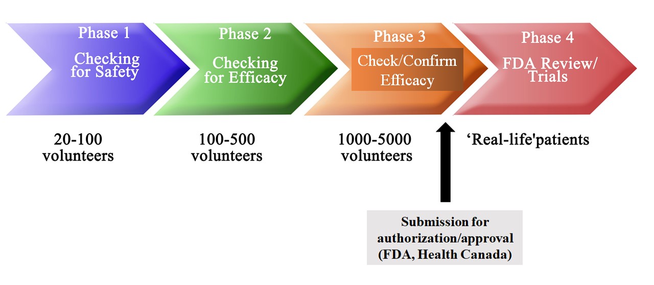 Clinical Trial Phases